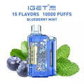 IGET Flare B10000 Blueberry Mint Online in Mumbai | 10000 Puffs Vape | Same Day Delivery